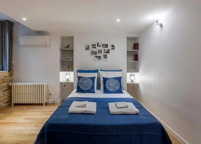Charlie-Meublee Haut De Gamme-Duplex-260M2-Lyon 1